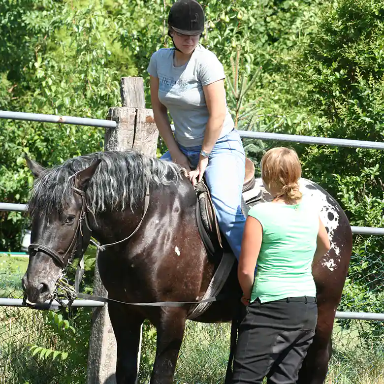 4 / 9: Reitunterricht für Erwachsene in München 4 / 9: Reitunterricht für Erwachsene in München