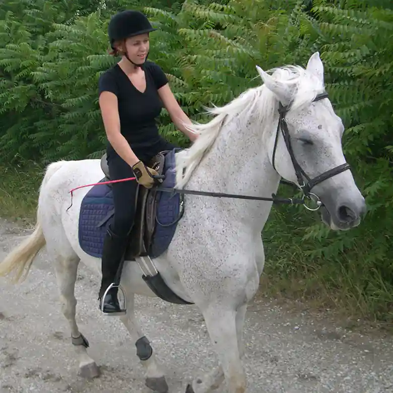 8 / 9: Reitunterricht für Erwachsene in München 8 / 9: Reitunterricht für Erwachsene in München