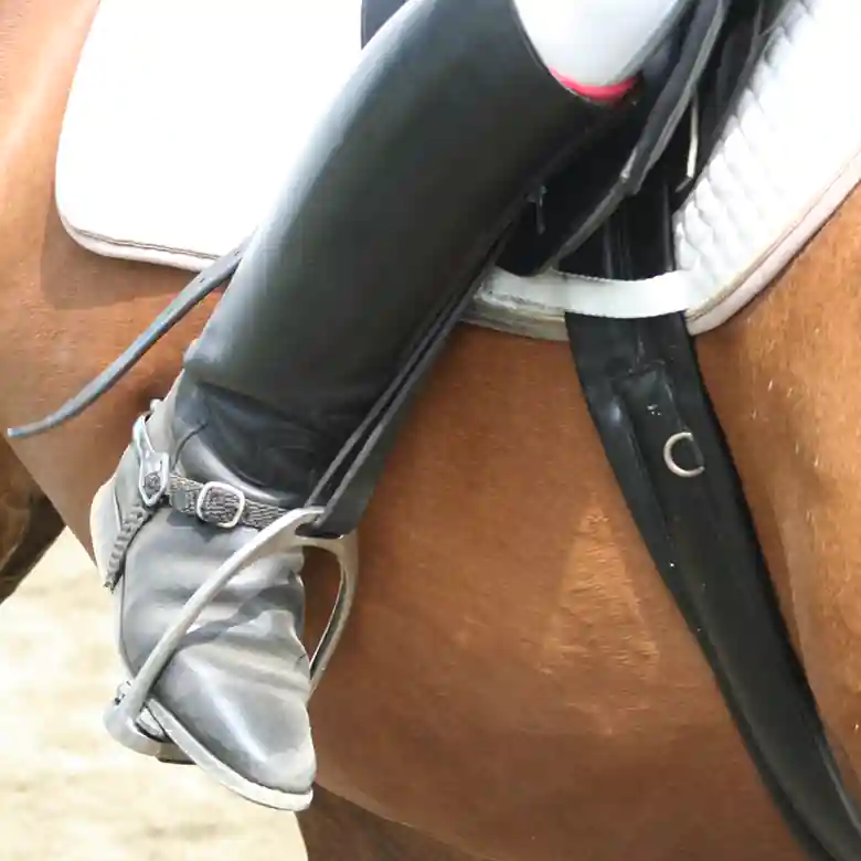 5 / 9: Reiten: Turniere in Springreiten und Dressurreiten 5 / 9: Reiten: Turniere in Springreiten und Dressurreiten