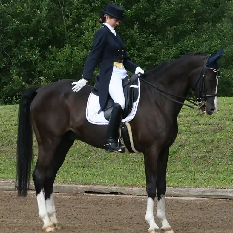 8 / 9: Reiten: Turniere in Springreiten und Dressurreiten 8 / 9: Reiten: Turniere in Springreiten und Dressurreiten
