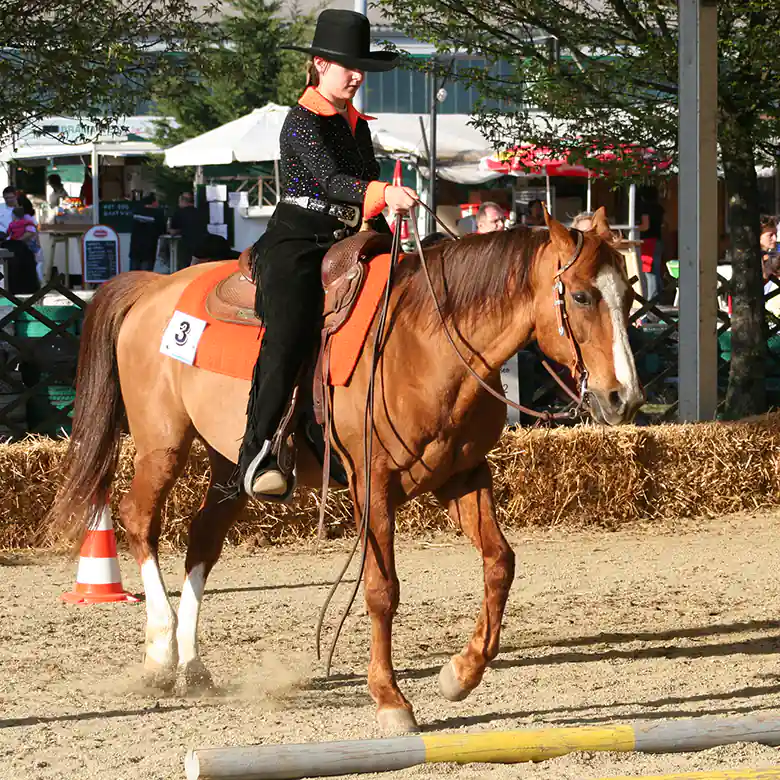 1 / 15: Westernreiten - Reiten im Western-Stil 1 / 15: Westernreiten - Reiten im Western-Stil