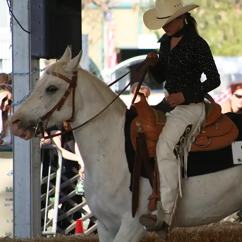 3 / 15: Westernreiten - Reiten im Western-Stil 3 / 15: Westernreiten - Reiten im Western-Stil