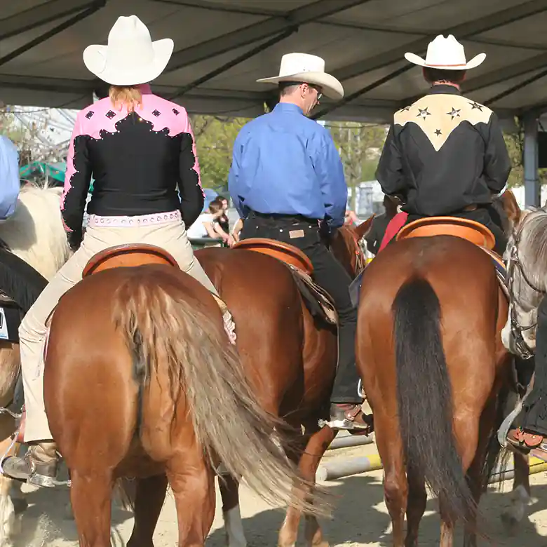5 / 15: Westernreiten - Reiten im Western-Stil 5 / 15: Westernreiten - Reiten im Western-Stil