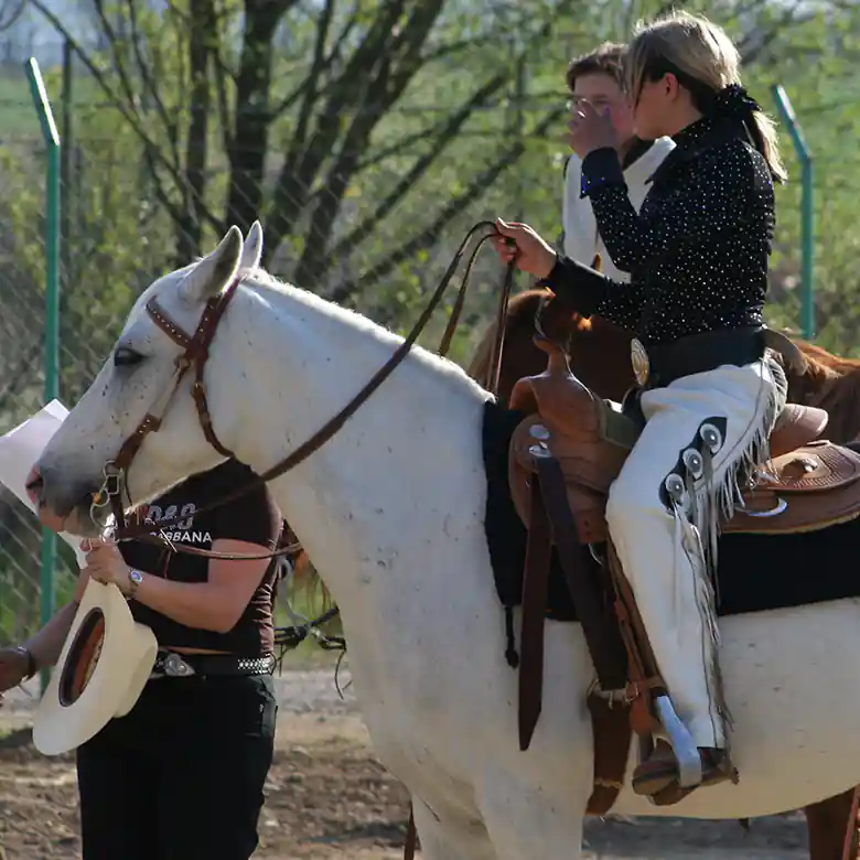 6 / 15: Westernreiten - Reiten im Western-Stil 6 / 15: Westernreiten - Reiten im Western-Stil