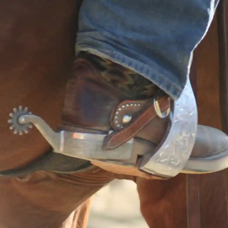 8 / 15: Westernreiten - Reiten im Western-Stil 8 / 15: Westernreiten - Reiten im Western-Stil